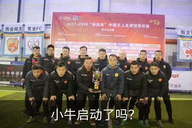 小牛启动了吗？